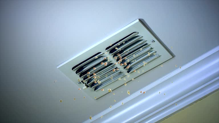Best Ductwork Cleaning Services  in Buena Park, CA